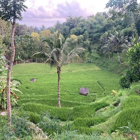 Satu Lingkung Otel Tetebatu Dış mekan fotoğraf