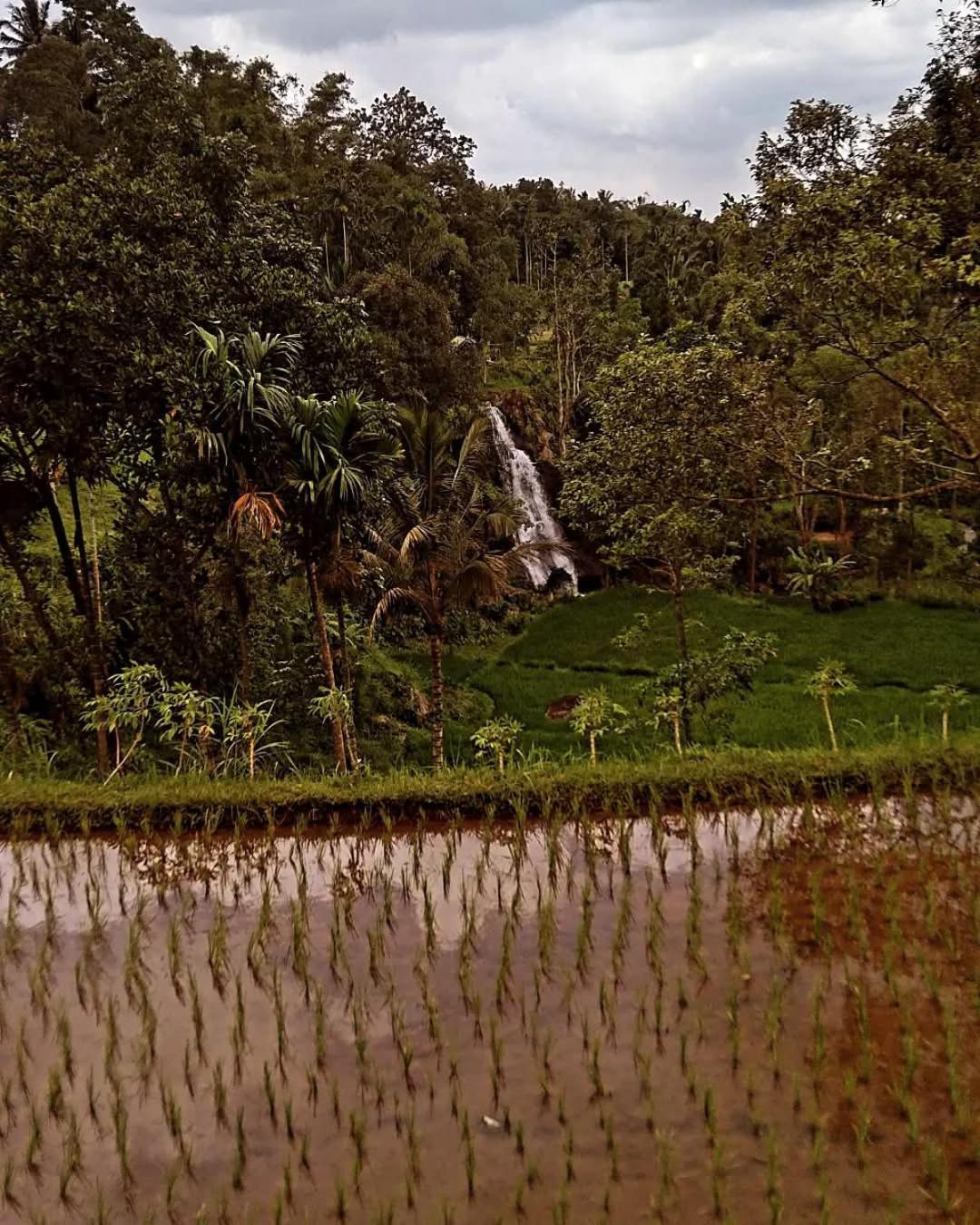 Satu Lingkung Otel Tetebatu Dış mekan fotoğraf