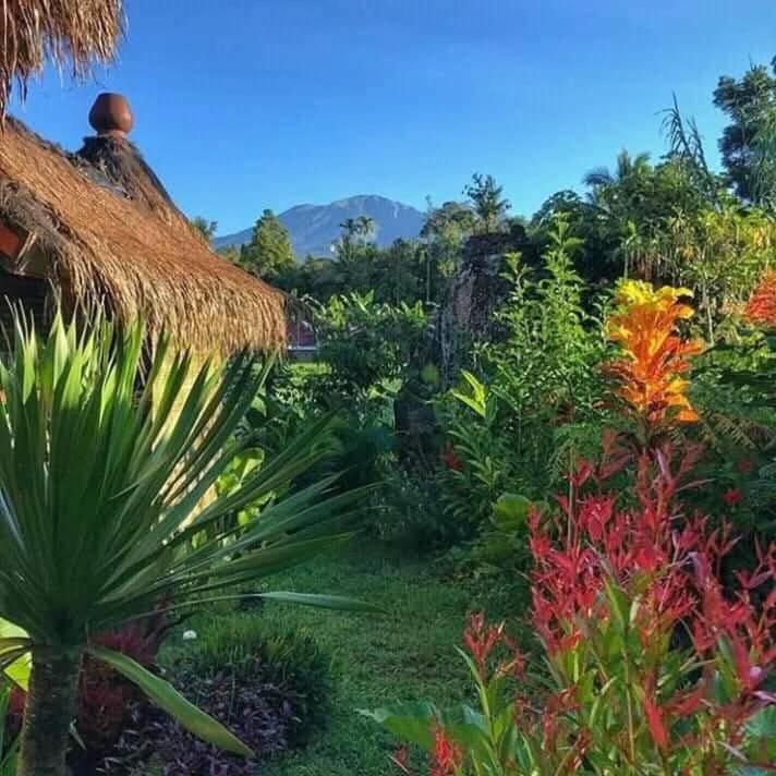 Satu Lingkung Otel Tetebatu Oda fotoğraf