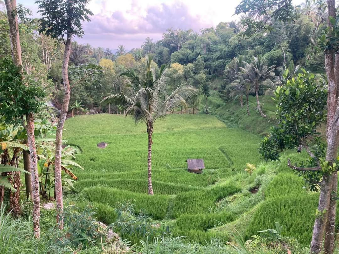 Satu Lingkung Otel Tetebatu Dış mekan fotoğraf
