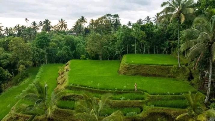 Satu Lingkung Otel Tetebatu Dış mekan fotoğraf