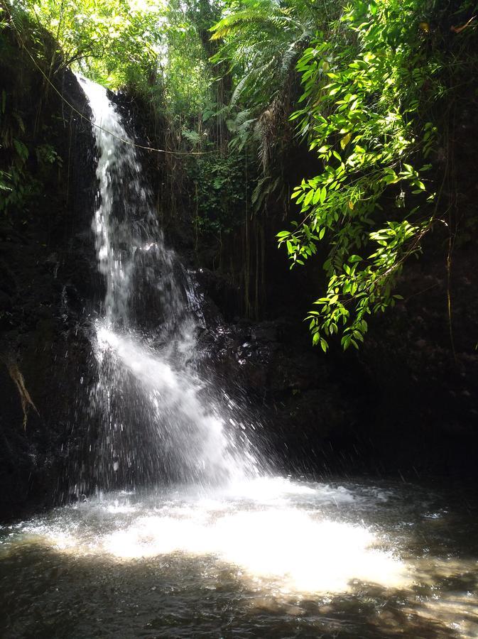 Satu Lingkung Otel Tetebatu Dış mekan fotoğraf